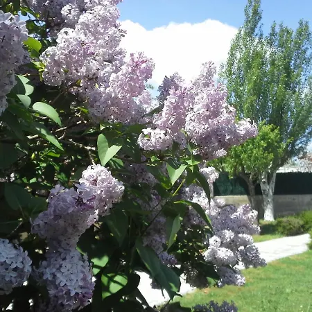 Feriehus Tuyas En Segovia *